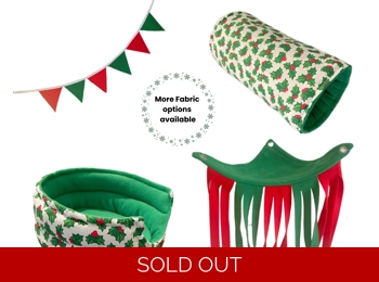 Guinea Pig Christmas Set